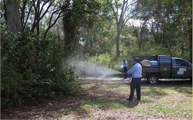 Mozzie season ramping up